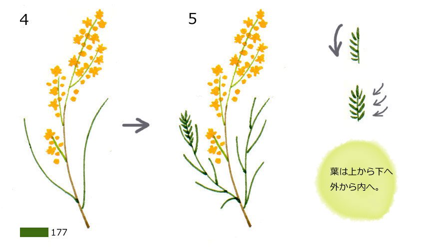 4色だけで 春色ミモザの描き方 Tombow Fun Art Studio トンボ鉛筆