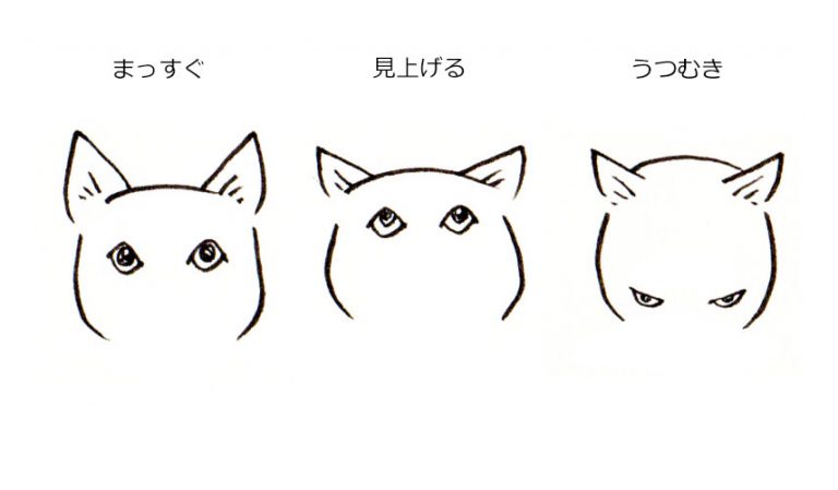 Aランク 猫の絵が描いている5皿 | www.roseystalent.com.au