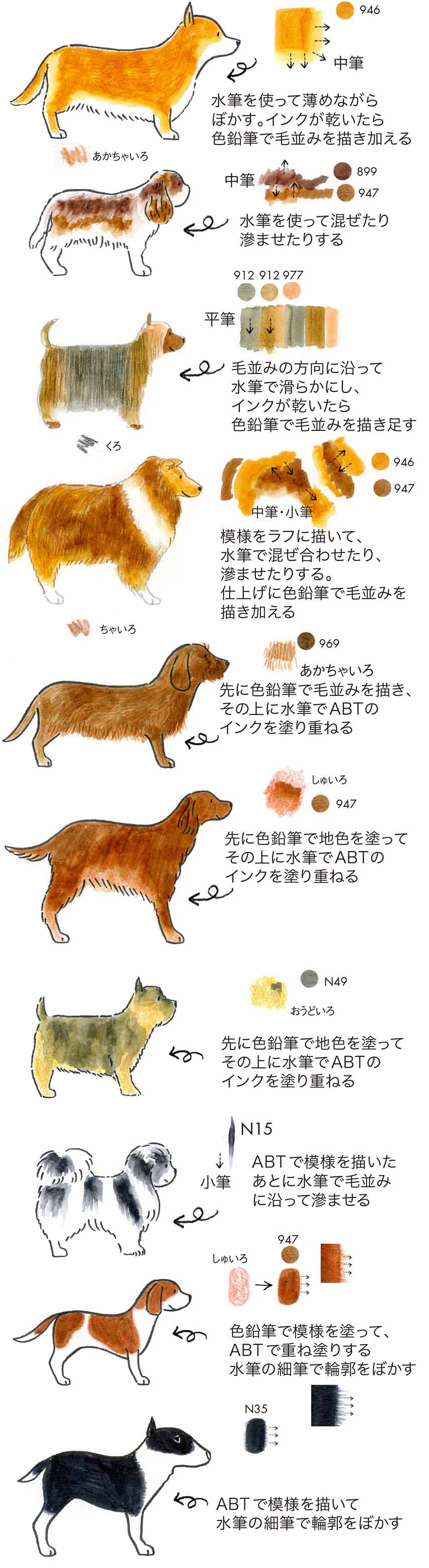 ワンちゃんの似顔絵を描いてみよう 犬イラストの描き方 Tombow Fun Art Studio トンボ鉛筆