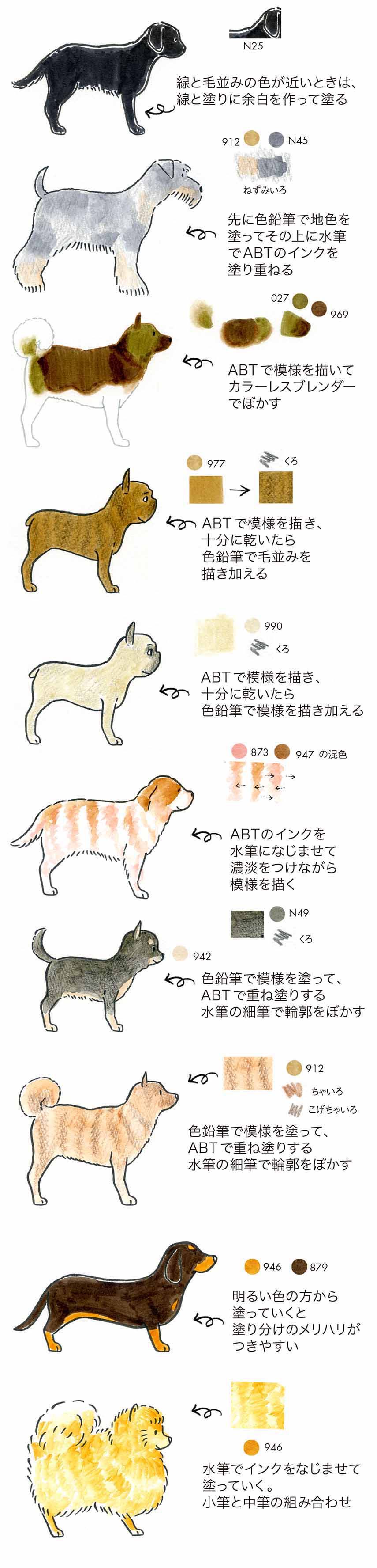 ワンちゃんの似顔絵を描いてみよう 犬イラストの描き方 Tombow Fun Art Studio トンボ鉛筆